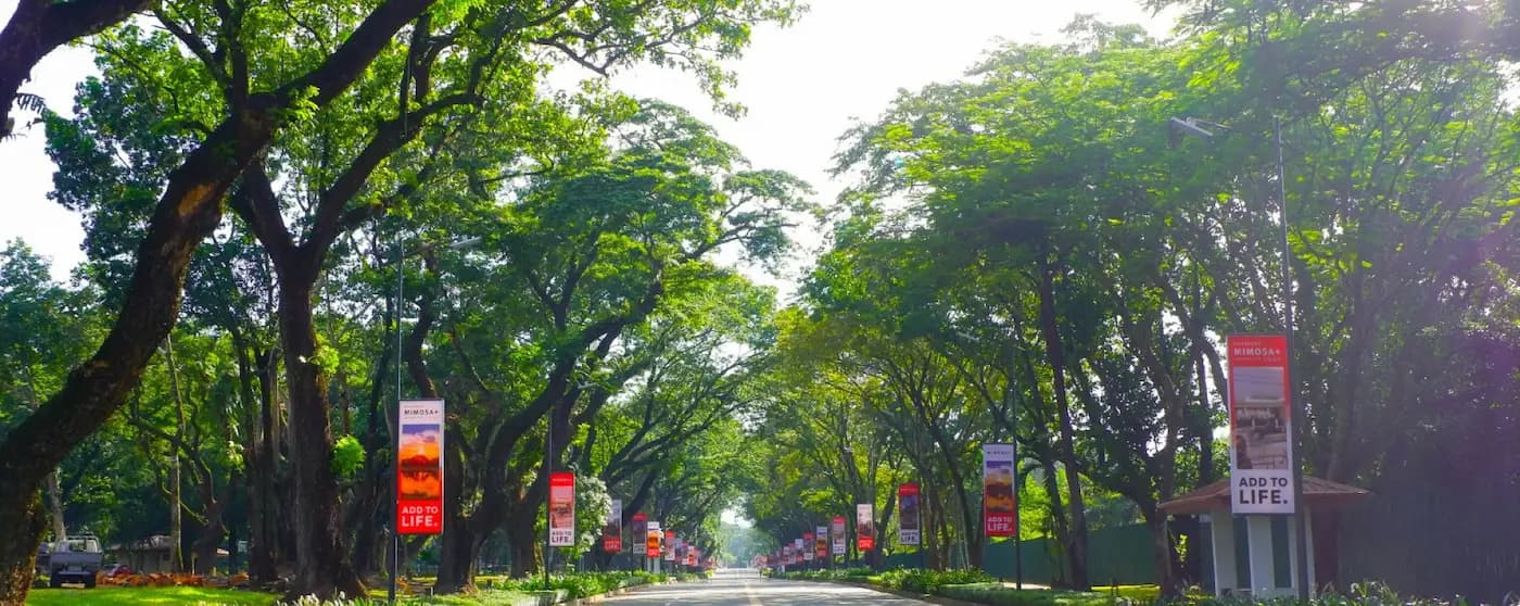 acacia-park